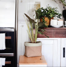 Load image into Gallery viewer, Sage Wool Mix & Hessian Pot