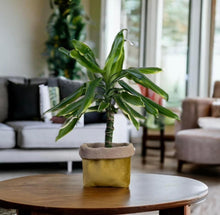 Load image into Gallery viewer, Mustard Velvet & Hessian Pot