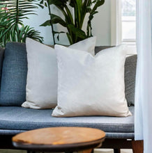 Load image into Gallery viewer, Optic White Velvet Cushion