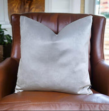 Load image into Gallery viewer, Silver Velvet Cushion