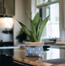 Load image into Gallery viewer, Blue Polka Dot & Hessian Pot