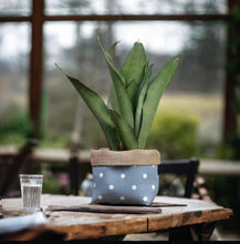Load image into Gallery viewer, Blue Polka Dot & Hessian Pot