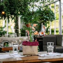 Load image into Gallery viewer, Burgundy Velvet Chenille & Hessian Pot