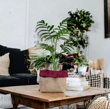 Load image into Gallery viewer, Burgundy Velvet Chenille & Hessian Pot