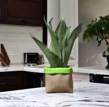 Load image into Gallery viewer, Bright Green Water Resistant Canvas & Hessian Pot