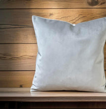 Load image into Gallery viewer, Silver Velvet Cushion