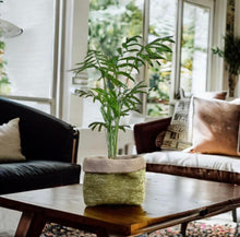 Load image into Gallery viewer, Moss Velvet Chenille & Hessian Pot