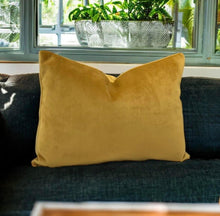 Load image into Gallery viewer, Mustard Velvet Cushion