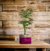 Load image into Gallery viewer, Cerise Italian Milled Wool & Hessian Pot