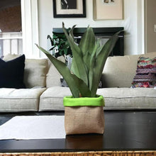 Load image into Gallery viewer, Bright Green Water Resistant Canvas & Hessian Pot