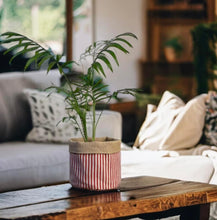 Load image into Gallery viewer, Red Stripe & Hessian Pot