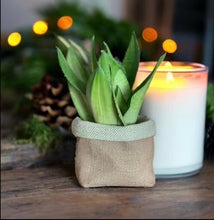 Load image into Gallery viewer, Sage Wool Mix & Hessian Pot