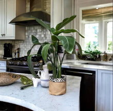 Load image into Gallery viewer, Linen Mix Zebra & Hessian Pot