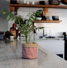 Load image into Gallery viewer, Red Stripe & Hessian Pot