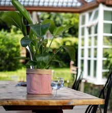Load image into Gallery viewer, Red Stripe & Hessian Pot