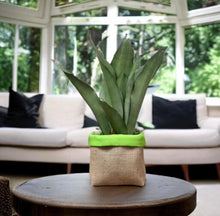 Load image into Gallery viewer, Bright Green Water Resistant Canvas & Hessian Pot