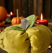 Load image into Gallery viewer, Cinderella Mustard Velvet Pumpkin
