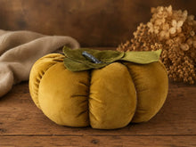 Load image into Gallery viewer, Mustard Velvet Pumpkin Large