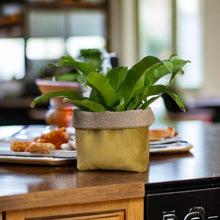 Load image into Gallery viewer, Mustard Velvet & Hessian Pot