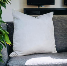 Load image into Gallery viewer, Optic White Velvet Cushion