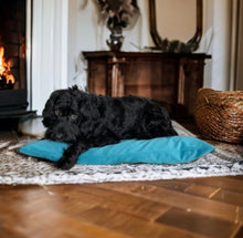 Load image into Gallery viewer, Velvet Dog Bed Turquoise