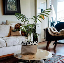 Load image into Gallery viewer, Dalmation Print Velvet & Hessian Pot