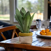 Load image into Gallery viewer, Mustard Velvet & Hessian Pot