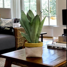 Load image into Gallery viewer, Mustard Velvet & Hessian Pot