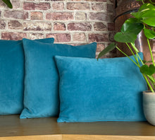 Load image into Gallery viewer, Jade Velvet Cushion