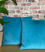 Load image into Gallery viewer, Jade Velvet Cushion