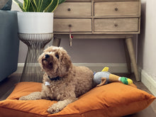 Load image into Gallery viewer, Velvet Dog Bed Mustard
