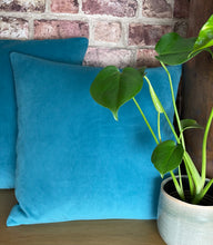 Load image into Gallery viewer, Jade Velvet Cushion
