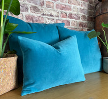 Load image into Gallery viewer, Jade Velvet Cushion
