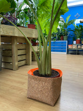 Load image into Gallery viewer, Gold Flaked Cork Pot