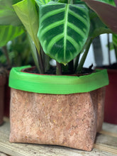 Load image into Gallery viewer, Gold Flaked Cork Pot