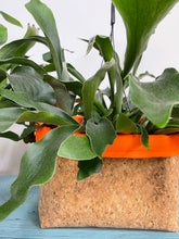 Load image into Gallery viewer, Gold Flaked Cork Pot