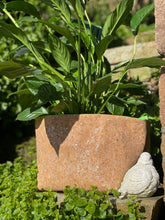 Load image into Gallery viewer, Silver Flaked Cork Pot