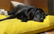 Load image into Gallery viewer, Velvet Dog Bed Sunshine Yellow