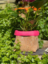 Load image into Gallery viewer, Silver Flaked Cork Pot