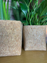 Load image into Gallery viewer, Gold Flaked Cork Pot