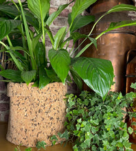 Load image into Gallery viewer, Large Round Black Speckled Cork Pot