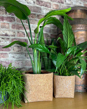 Load image into Gallery viewer, Gold Flaked Cork Pot