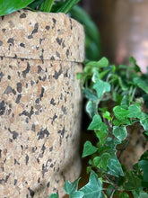Load image into Gallery viewer, Large Round Black Speckled Cork Pot