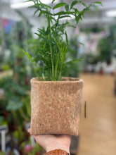 Load image into Gallery viewer, Gold Flaked Cork Pot