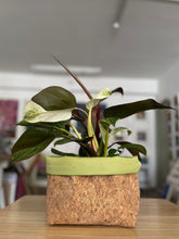 Load image into Gallery viewer, Gold Flaked Cork Pot