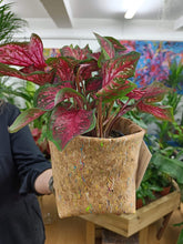 Load image into Gallery viewer, Funky Multi Colour Cork Pot