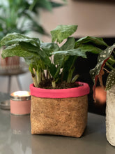 Load image into Gallery viewer, Gold Flaked Cork Pot