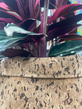 Load image into Gallery viewer, Large Round Black Speckled Cork Pot