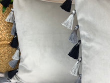 Load image into Gallery viewer, Silver Tassel Cushion