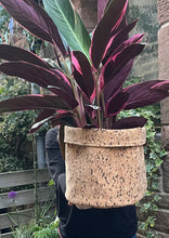 Load image into Gallery viewer, Large Round Black Speckled Cork Pot